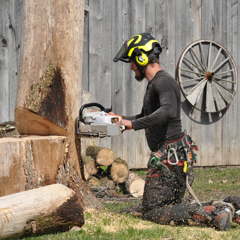Florian Prost, président et fondateur d'Arborée.